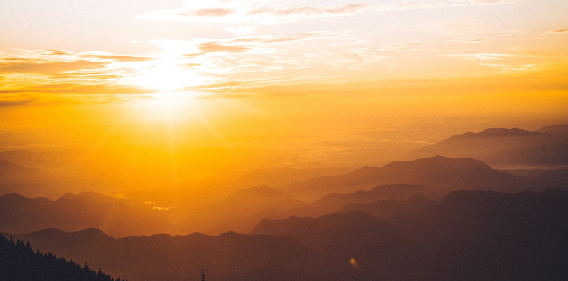 遼興畜旺 遠澤九州